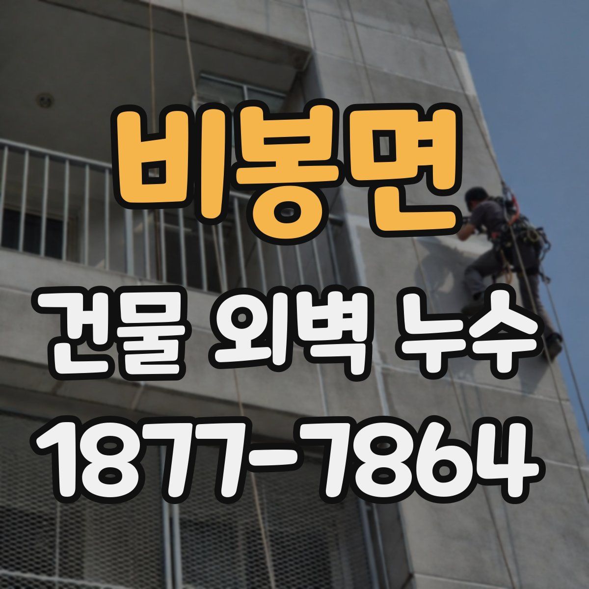 비봉면 건물 외벽 누수