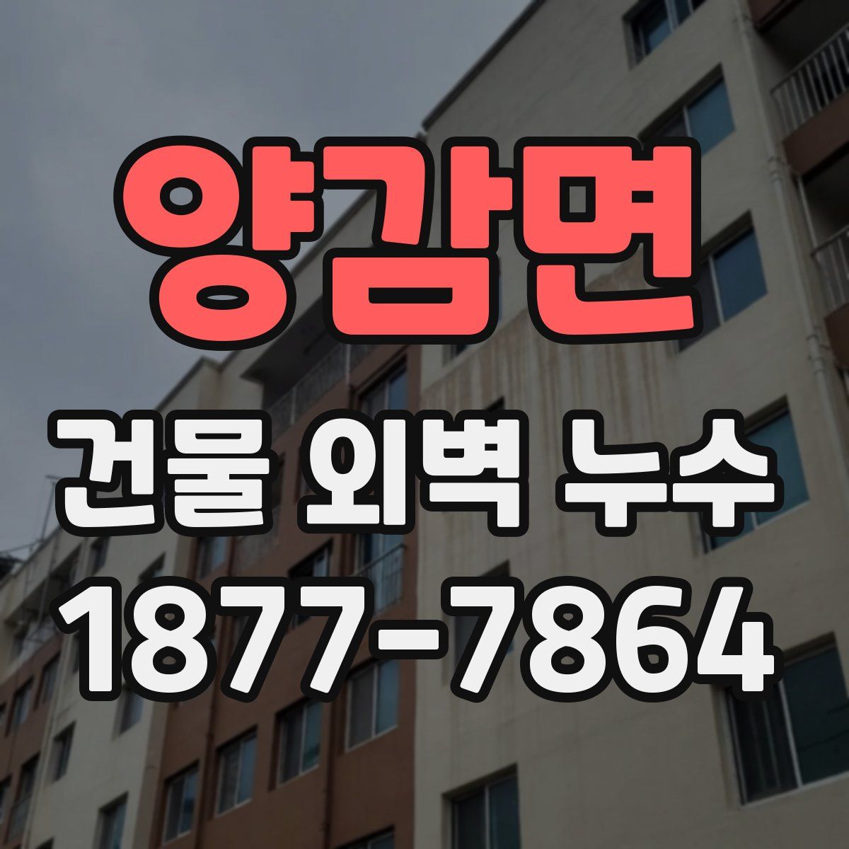 양감면 건물 외벽 누수