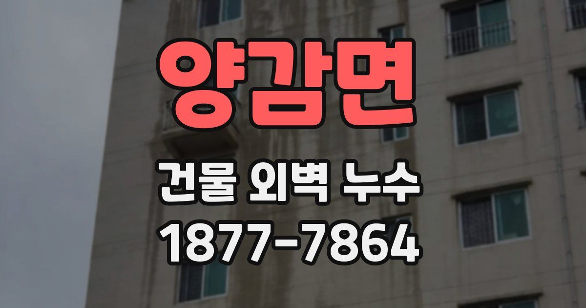 양감면 건물 외벽 누수