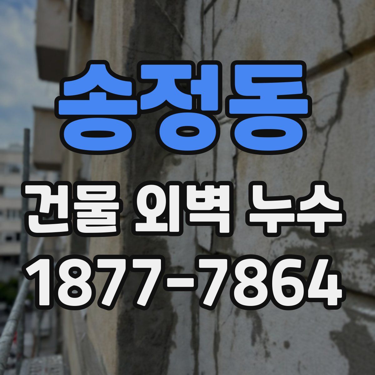 송정동 건물 외벽 누수