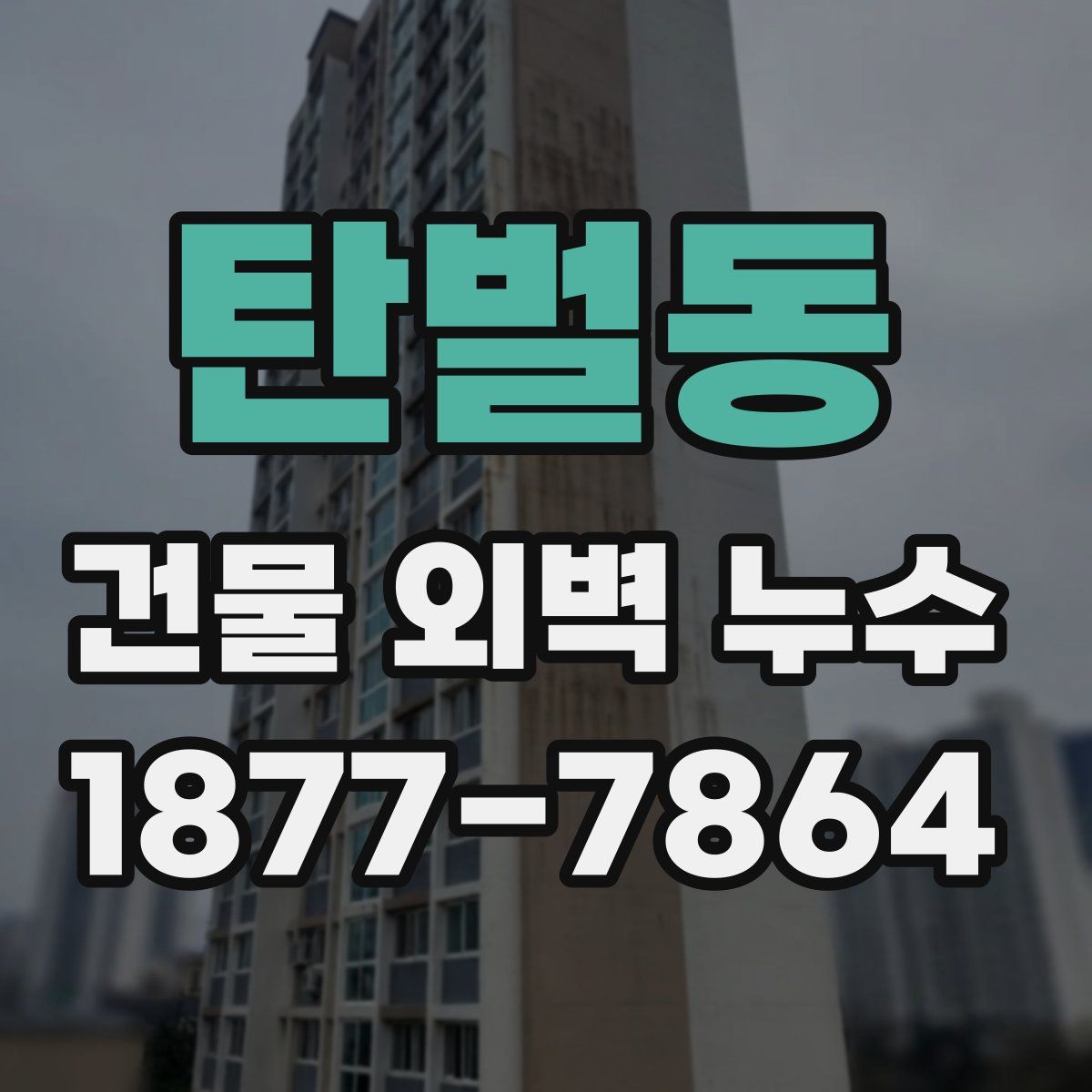 탄벌동 건물 외벽 누수