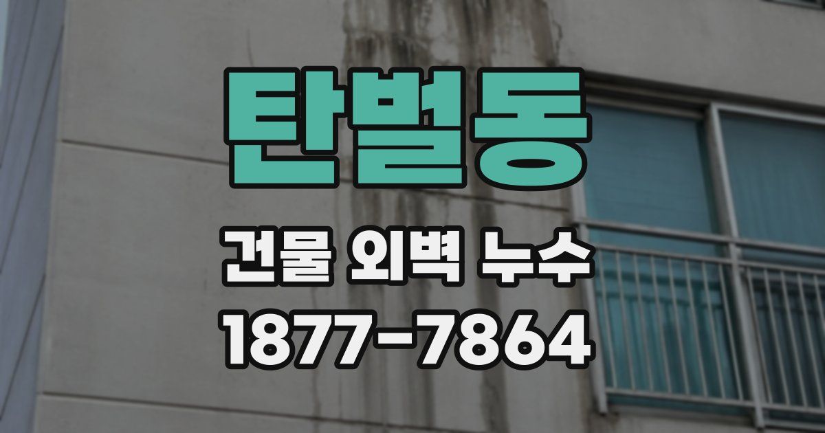 탄벌동 건물 외벽 누수