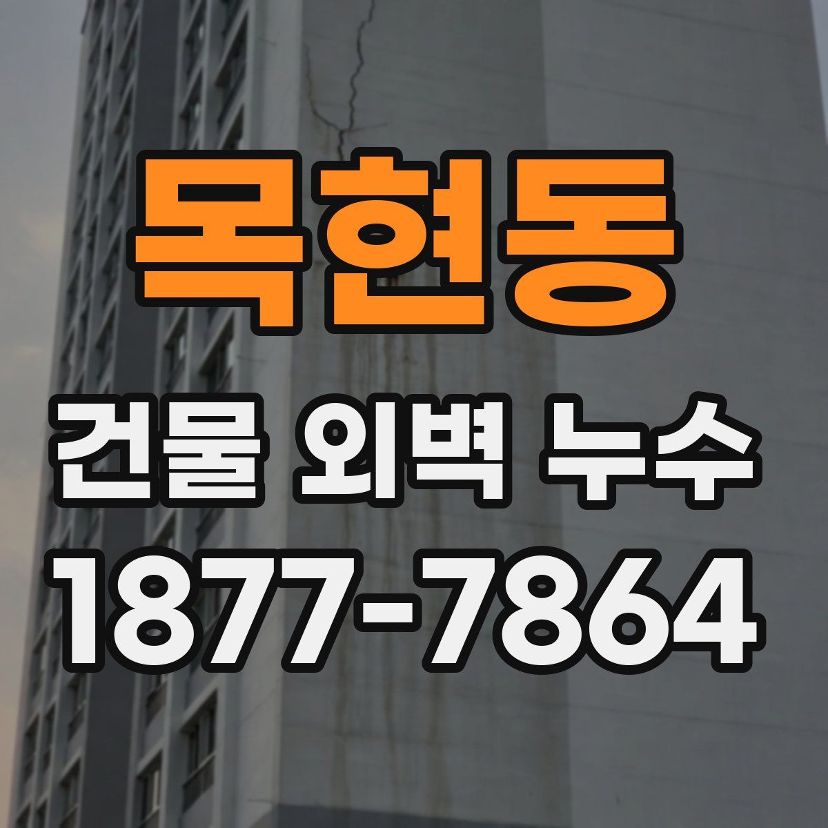 목현동 건물 외벽 누수
