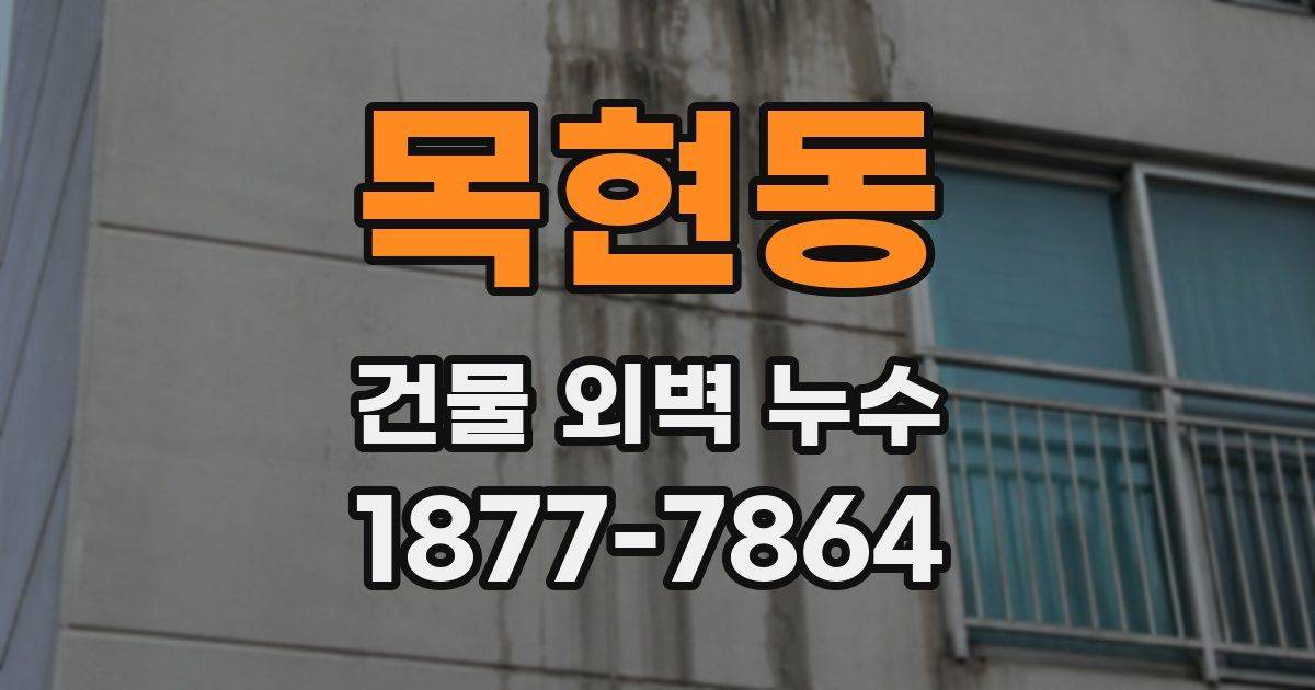 목현동 건물 외벽 누수