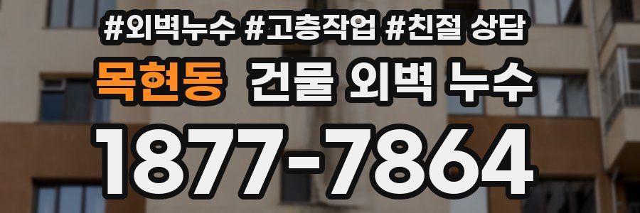 목현동 건물 외벽 누수