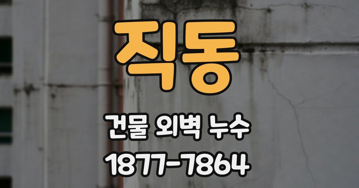 직동 건물 외벽 누수