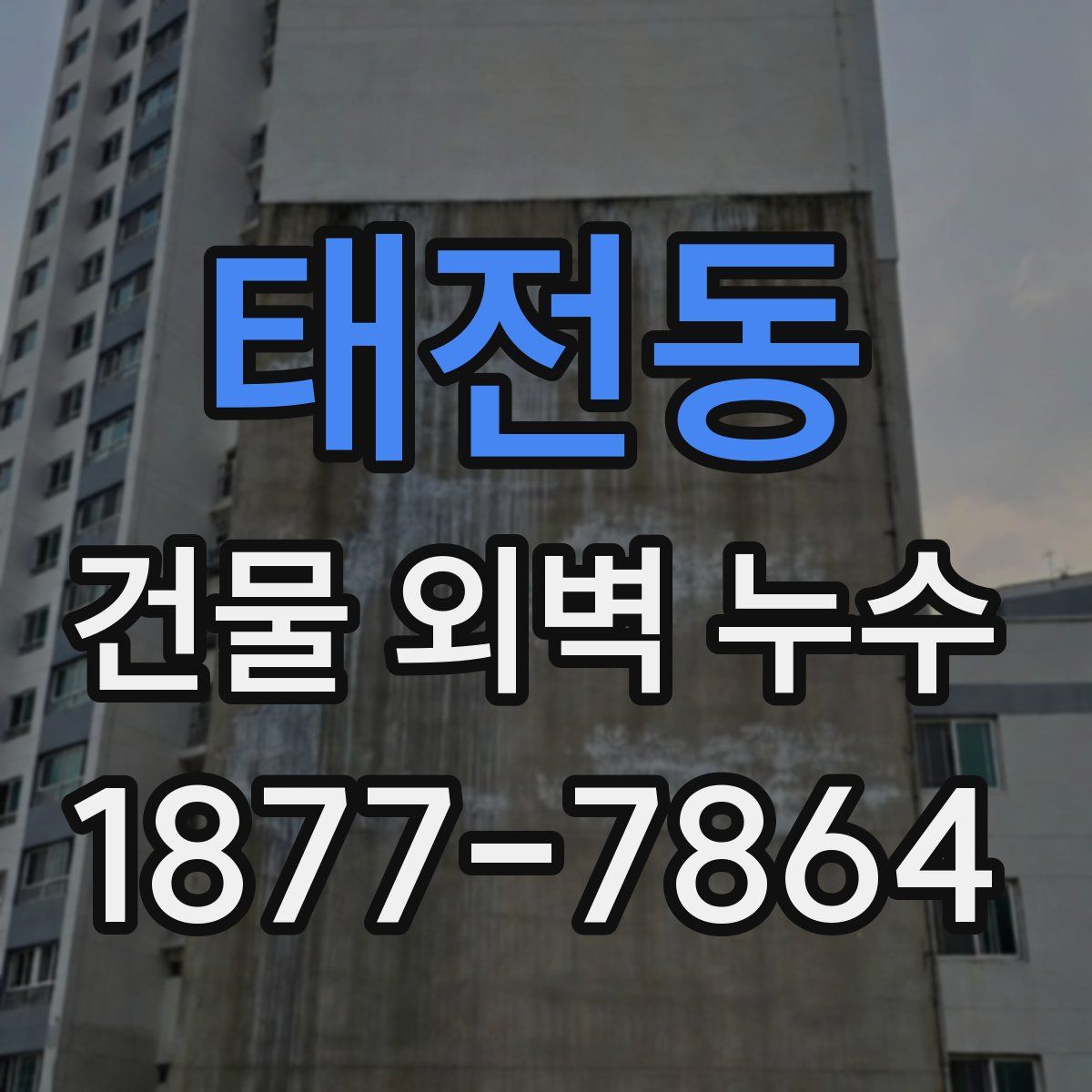 태전동 건물 외벽 누수