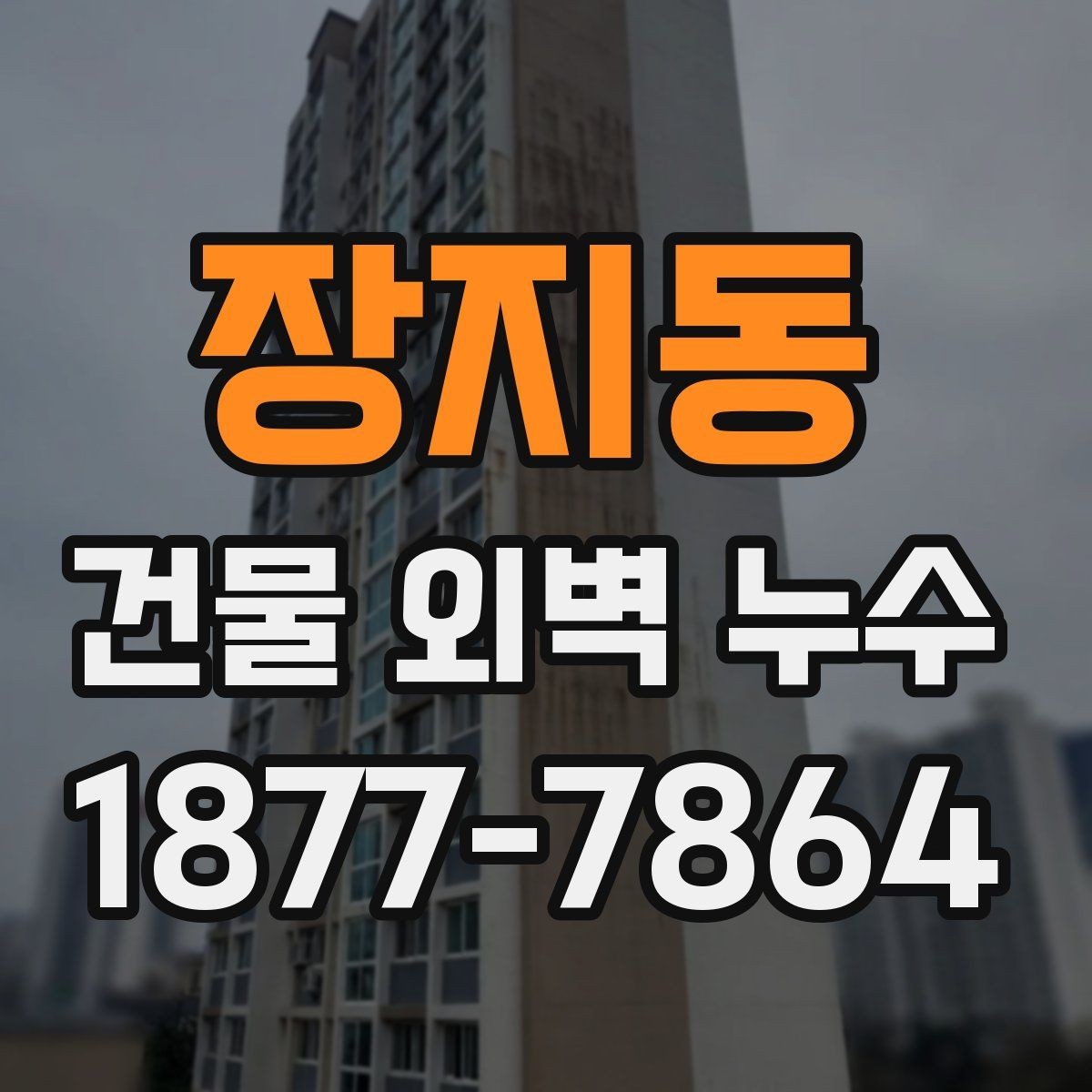 장지동 건물 외벽 누수 점검 시 자주 놓치는 부분