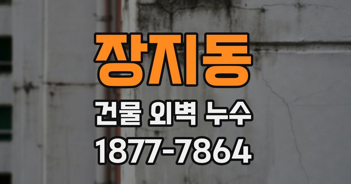 장지동 건물 외벽 누수