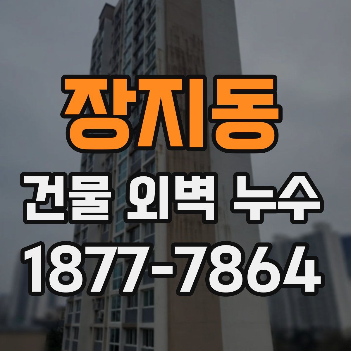 장지동 건물 외벽 누수