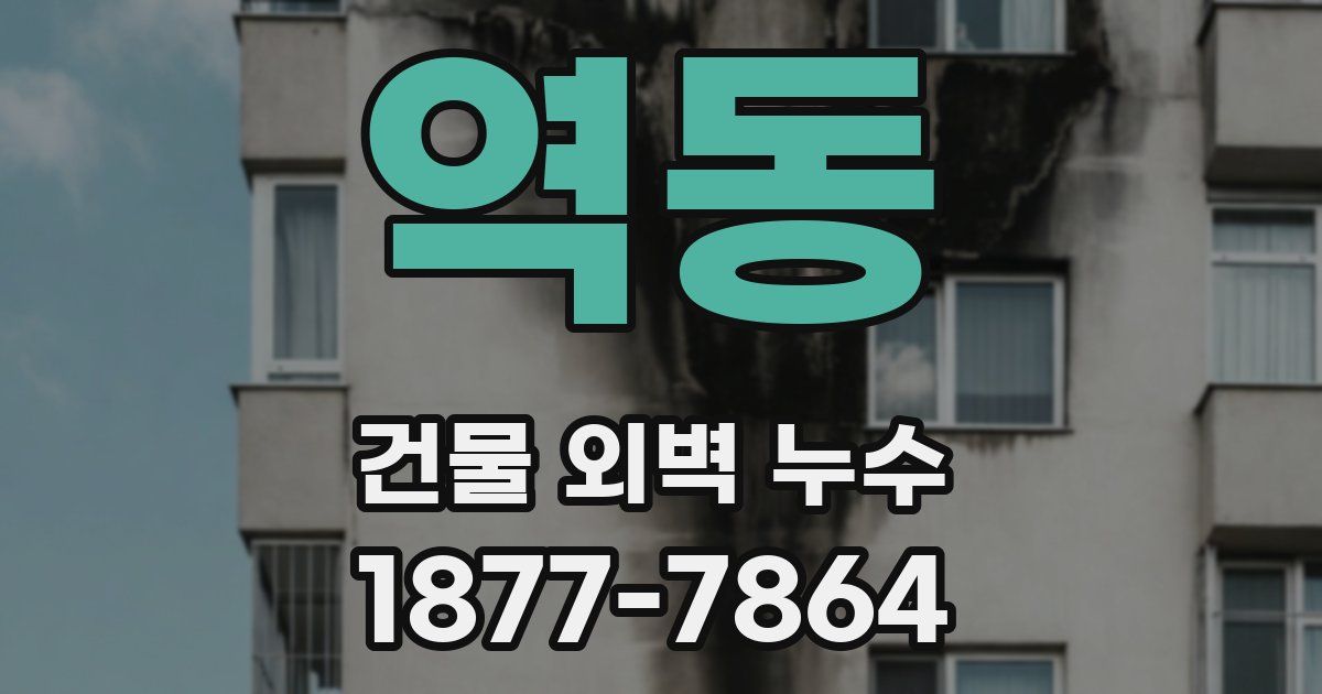 역동 건물 외벽 누수