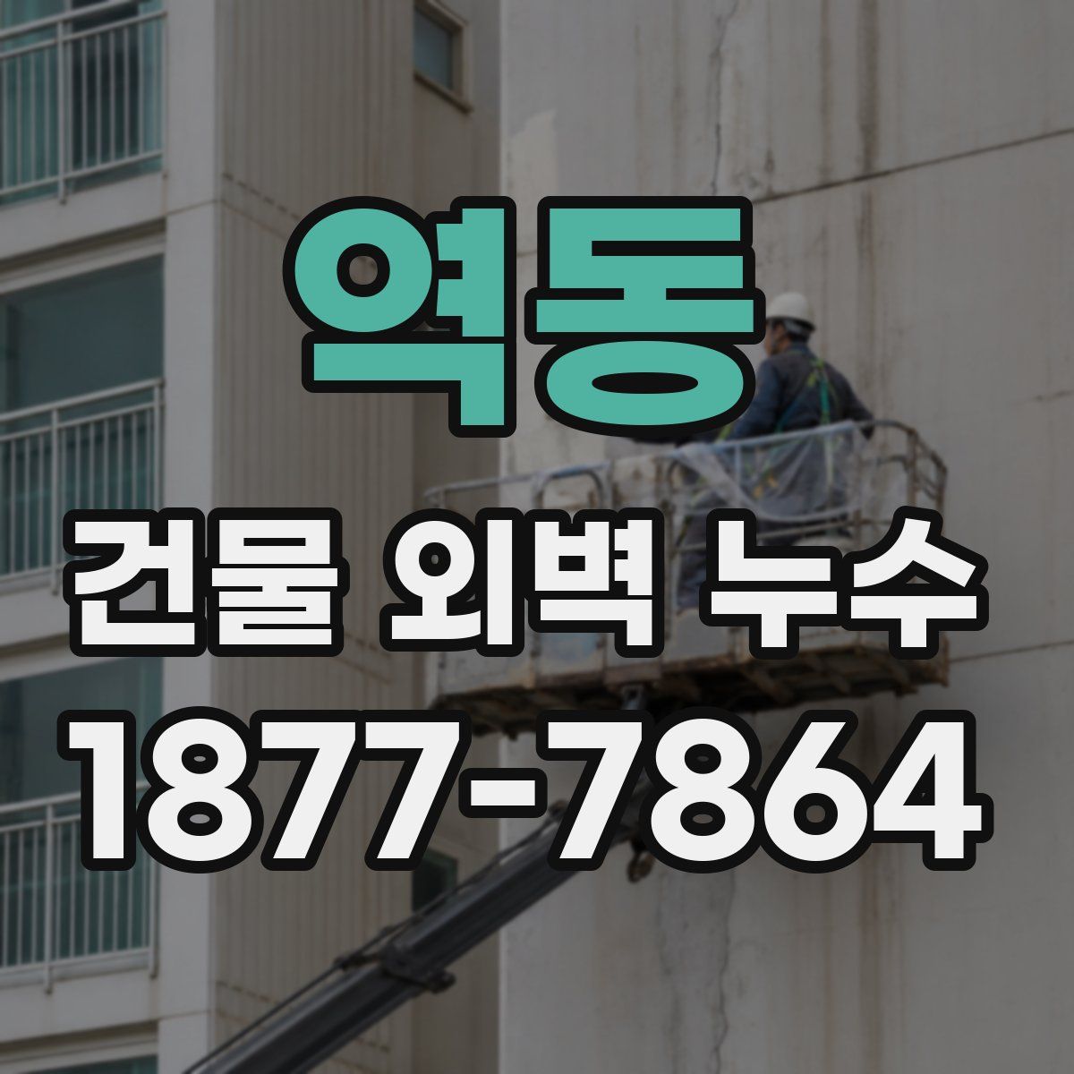 역동 건물 외벽 누수