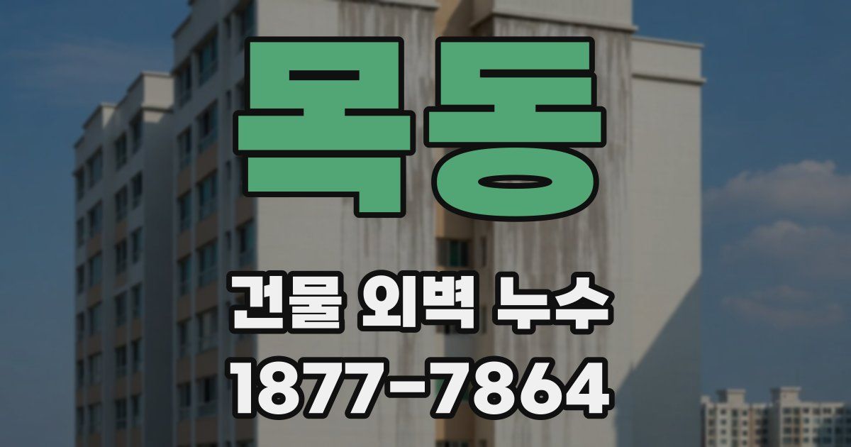 목동 건물 외벽 누수