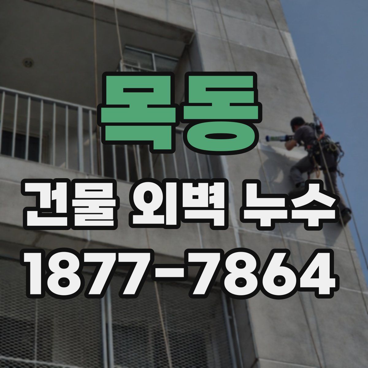 목동 건물 외벽 누수