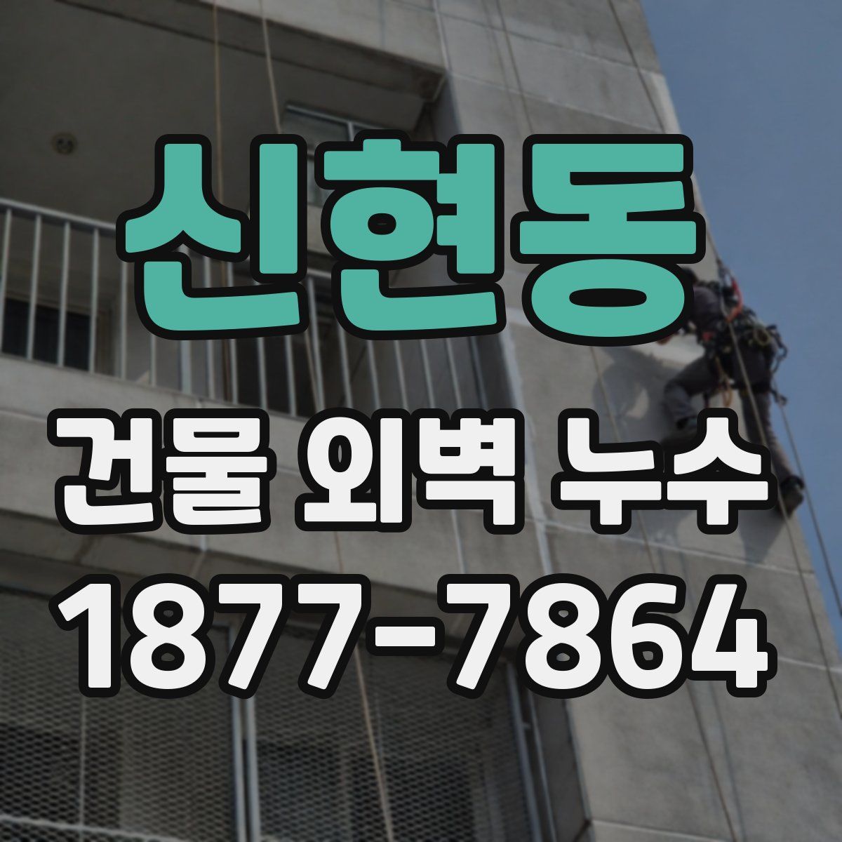 신현동 건물 외벽 누수