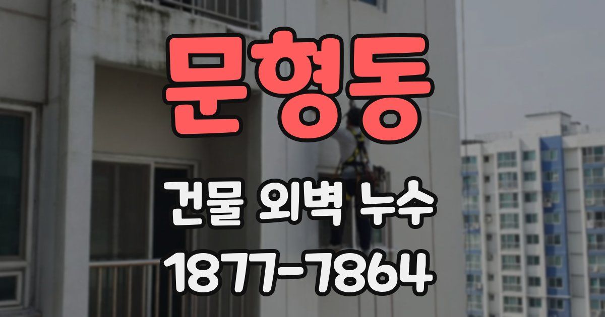문형동 건물 외벽 누수