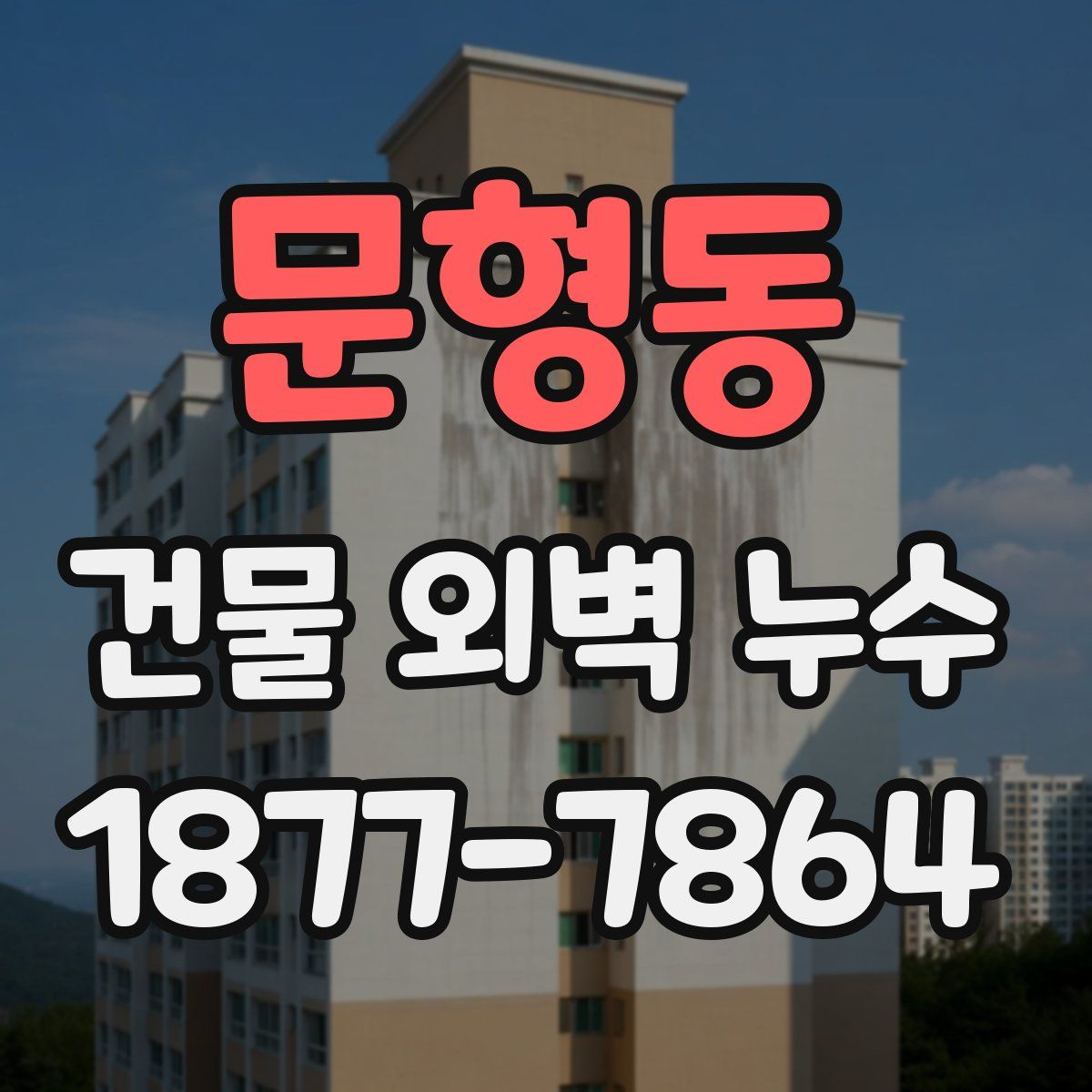 문형동 건물 외벽 누수
