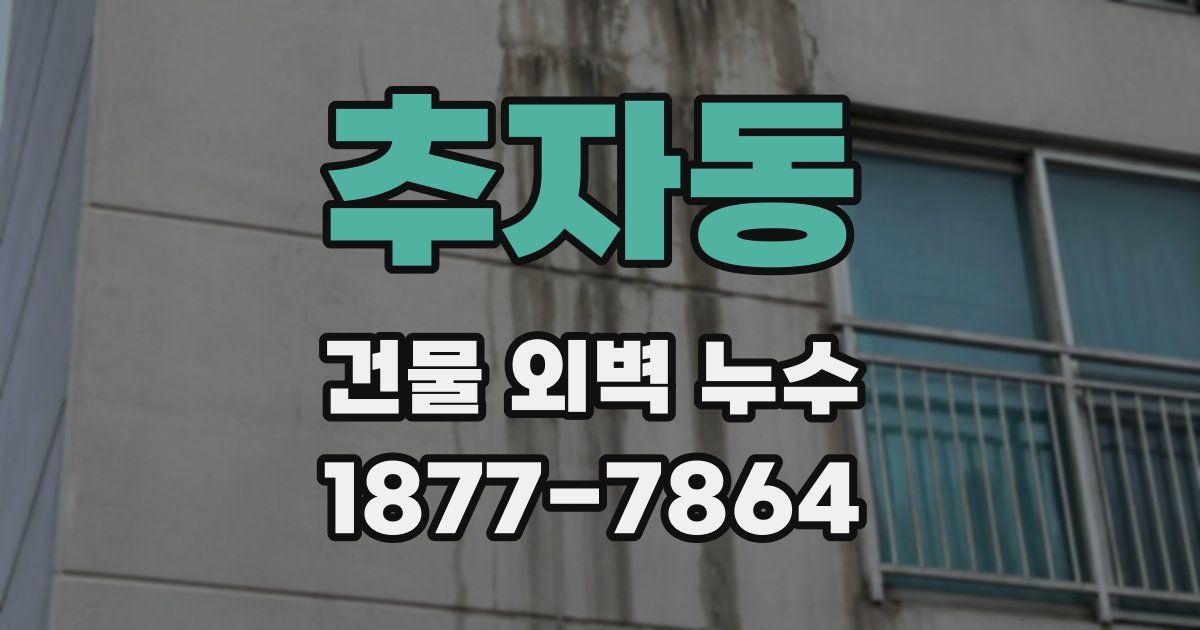 추자동 건물 외벽 누수