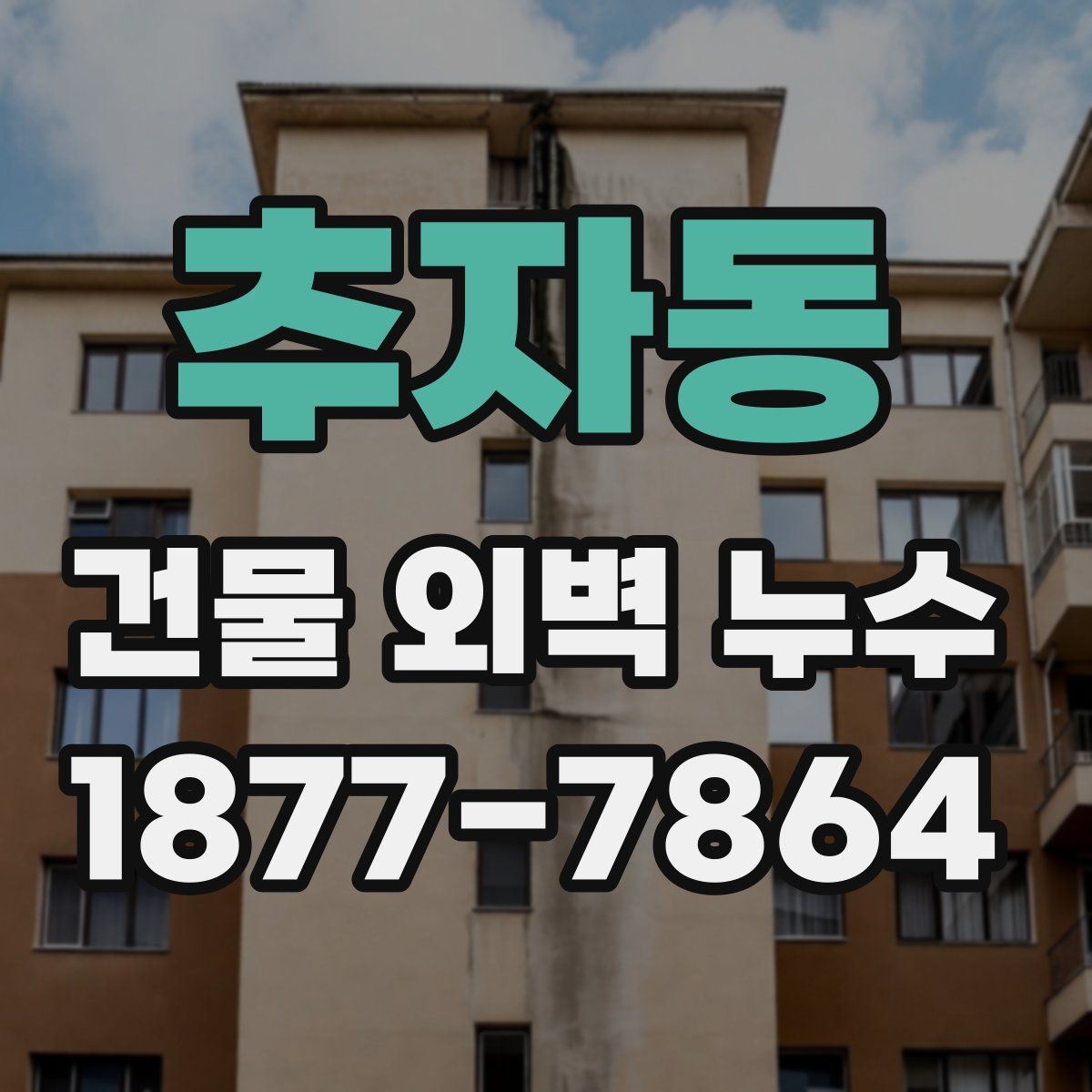 추자동 건물 외벽 누수