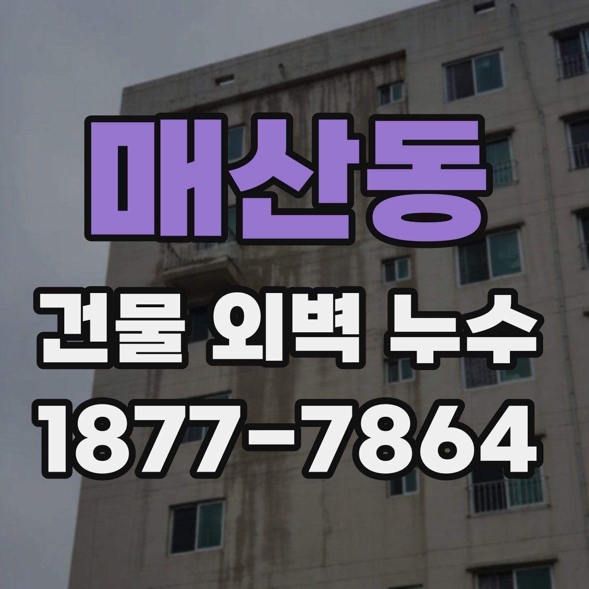 매산동 건물 외벽 누수