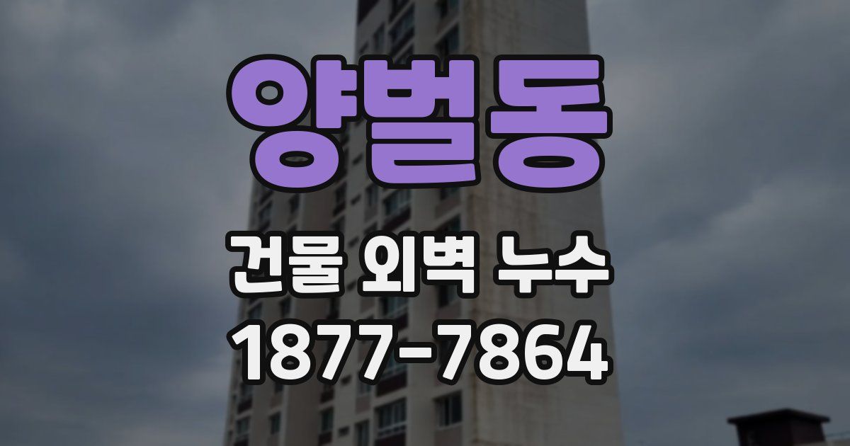 양벌동 건물 외벽 누수