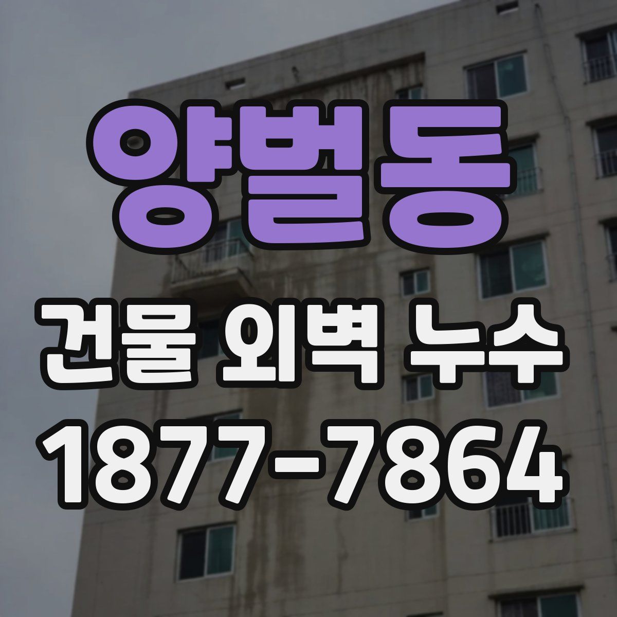 양벌동 건물 외벽 누수