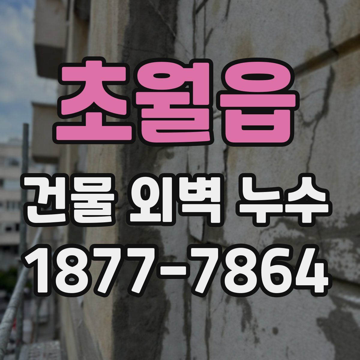 초월읍 건물 외벽 누수
