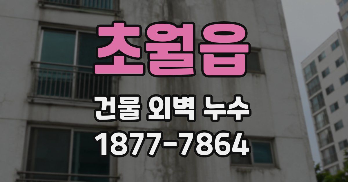 초월읍 건물 외벽 누수