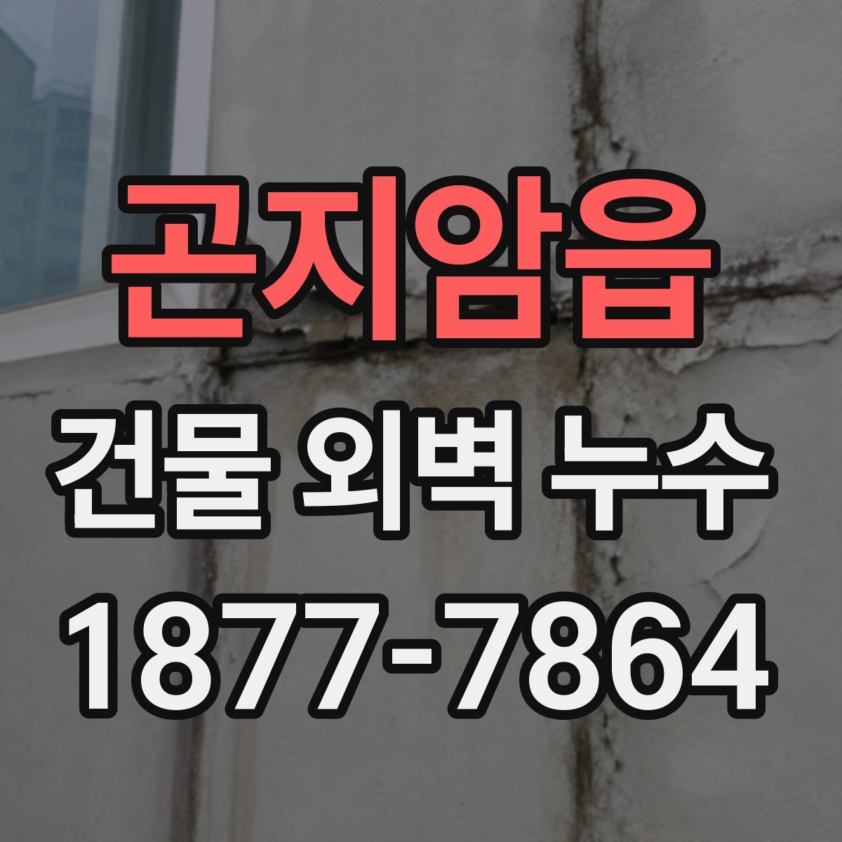 곤지암읍 건물 외벽 누수