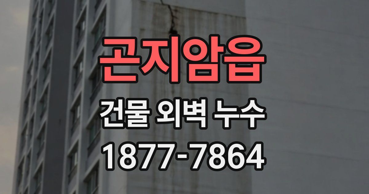 곤지암읍 건물 외벽 누수