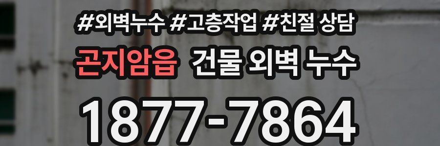 곤지암읍 건물 외벽 누수