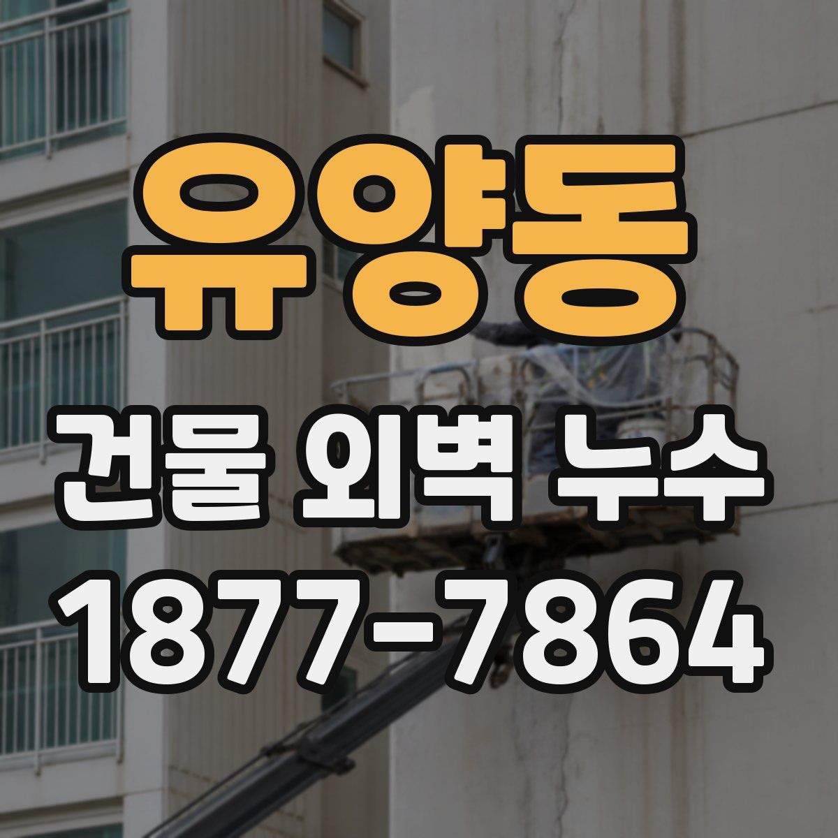 유양동 건물 외벽 누수