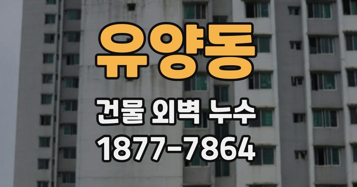 유양동 건물 외벽 누수