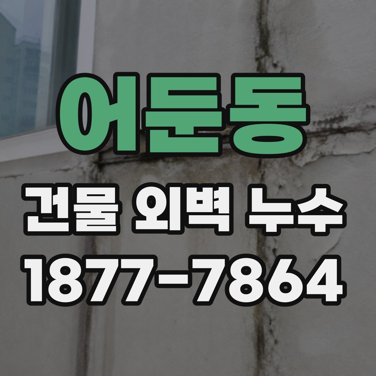 어둔동 건물 외벽 누수