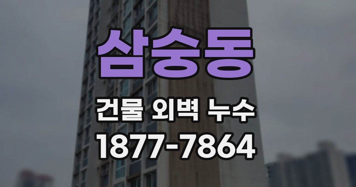 삼숭동 건물 외벽 누수