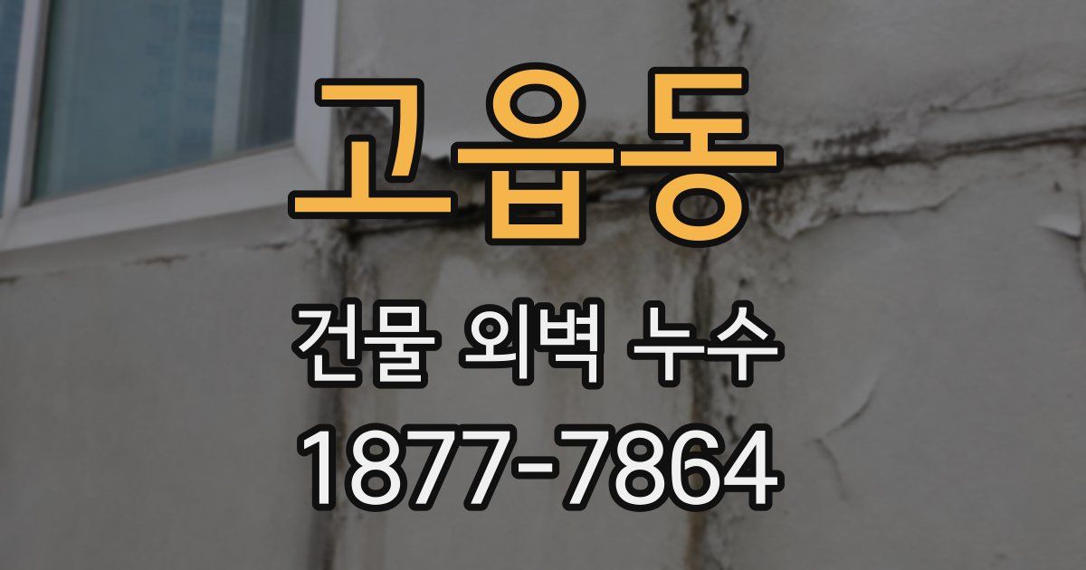 고읍동 건물 외벽 누수