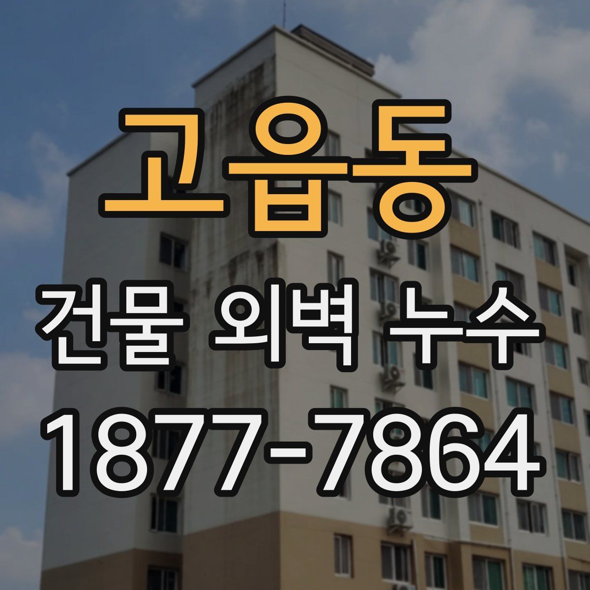 고읍동 건물 외벽 누수