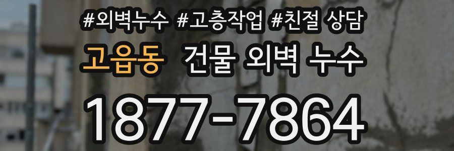 고읍동 건물 외벽 누수