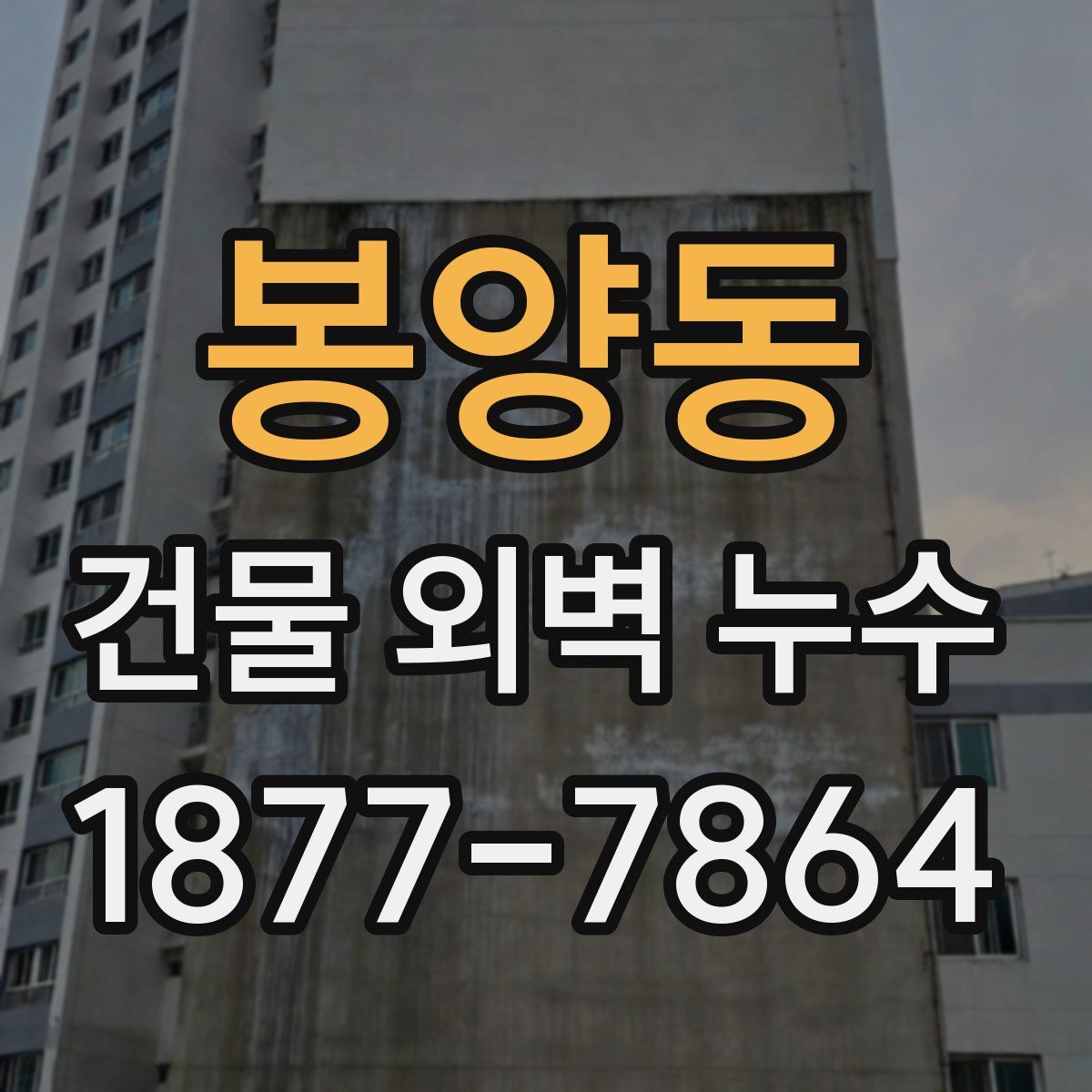 봉양동 건물 외벽 누수