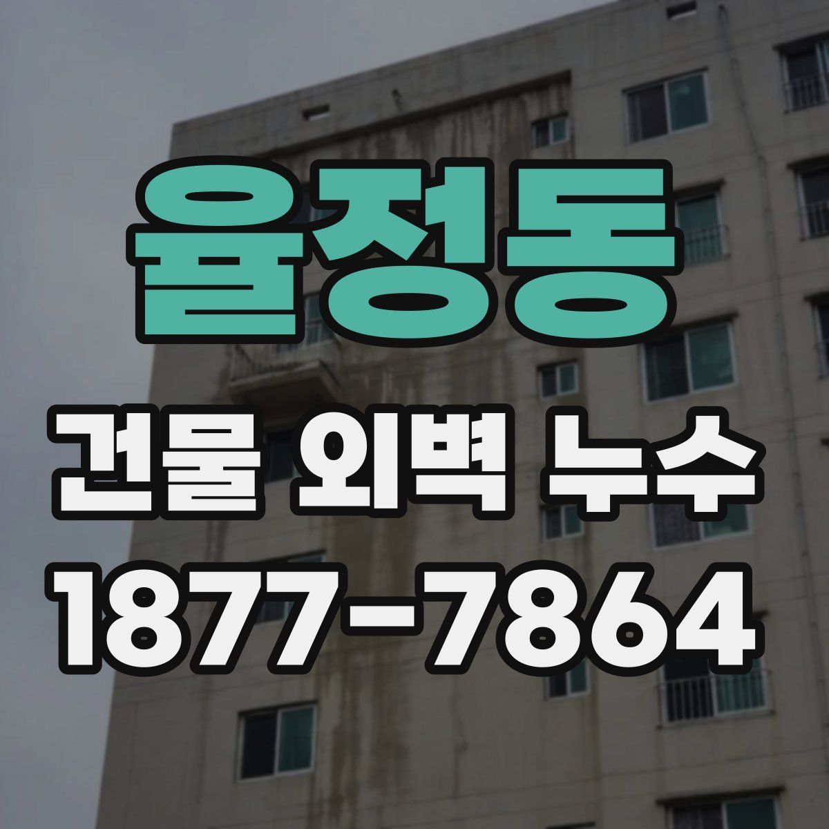 율정동 건물 외벽 누수