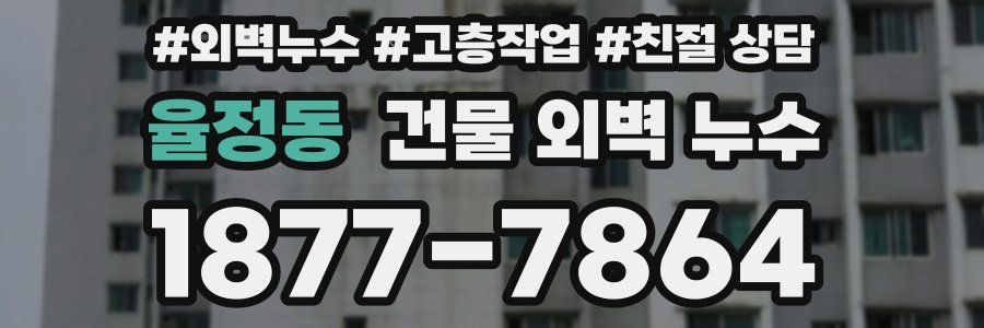 율정동 건물 외벽 누수