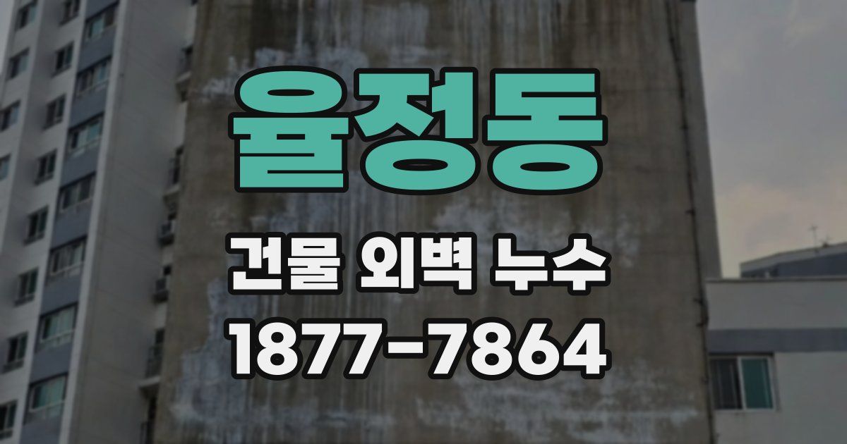 율정동 건물 외벽 누수