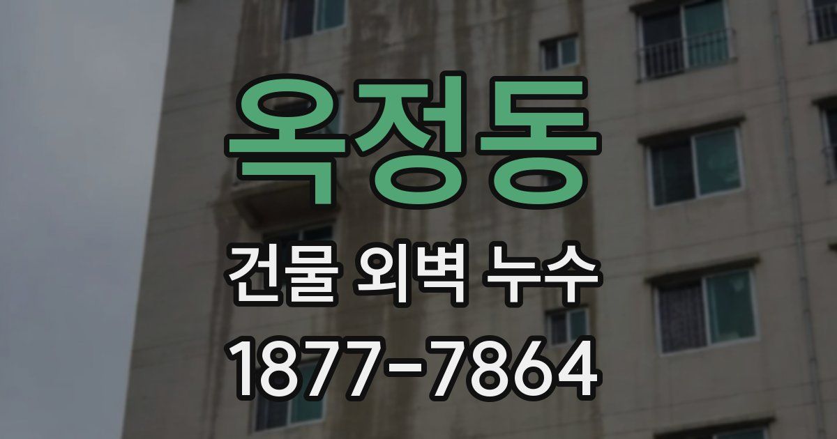 옥정동 건물 외벽 누수