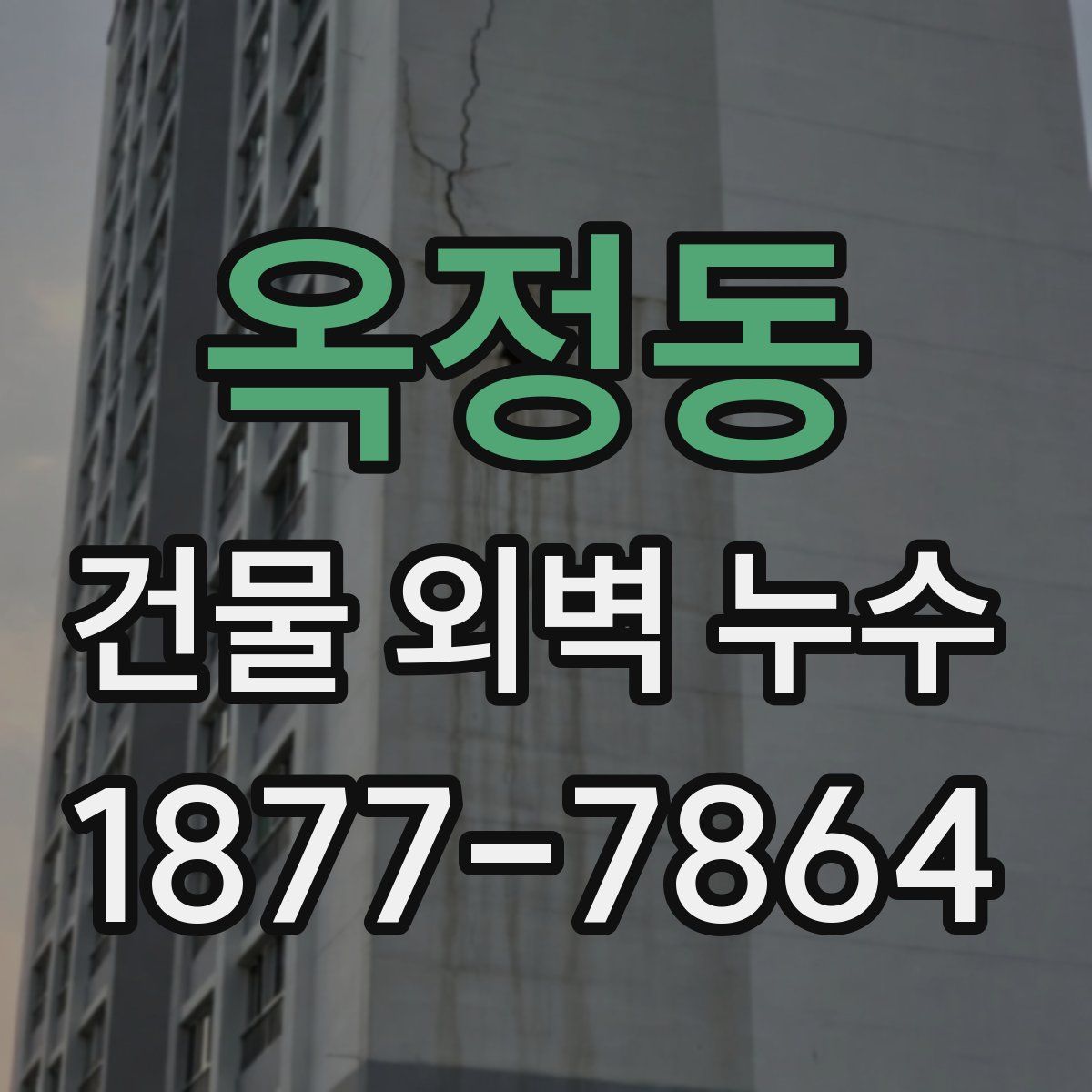 옥정동 건물 외벽 누수