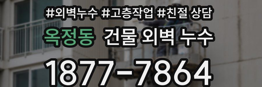 옥정동 건물 외벽 누수