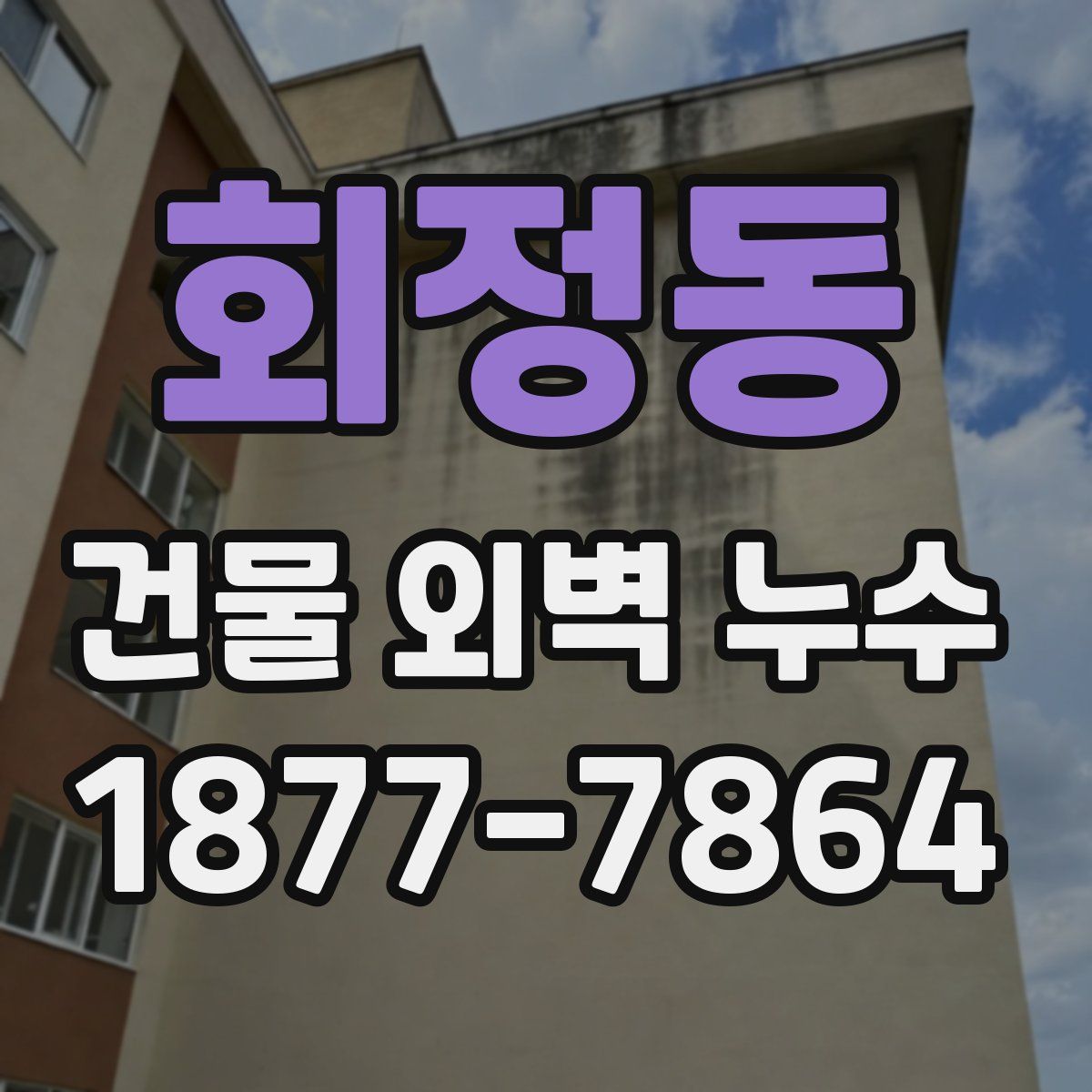회정동 건물 외벽 누수