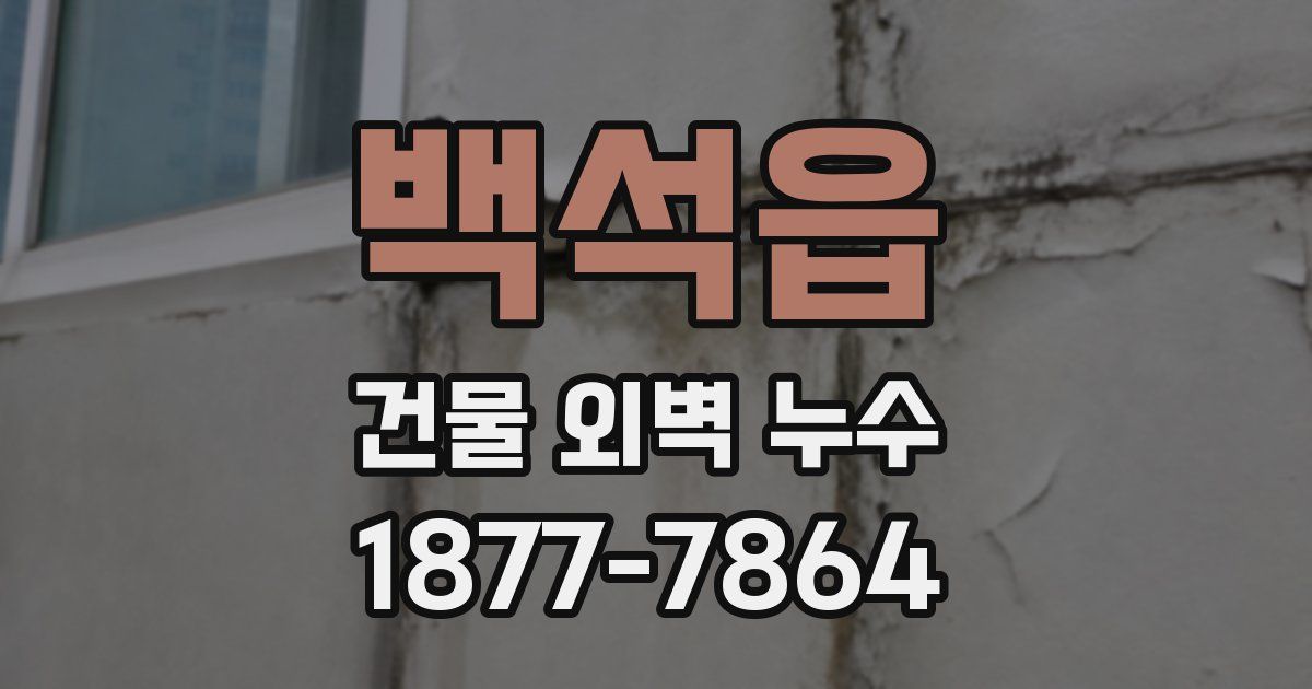 백석읍 건물 외벽 누수