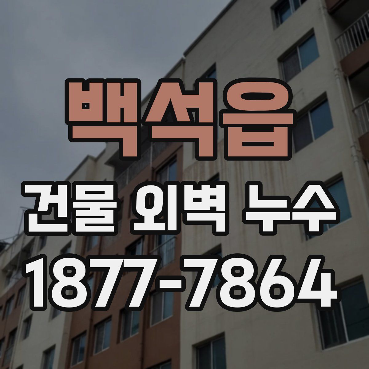 백석읍 건물 외벽 누수