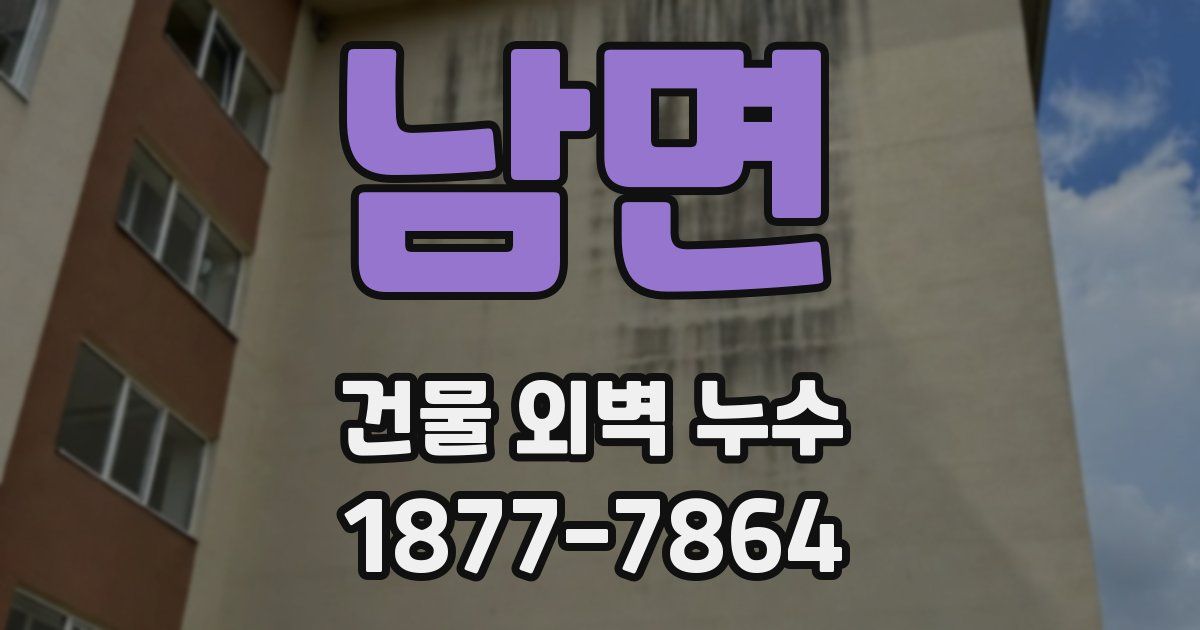 남면 건물 외벽 누수