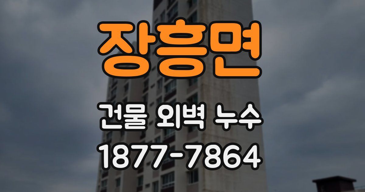 장흥면 건물 외벽 누수